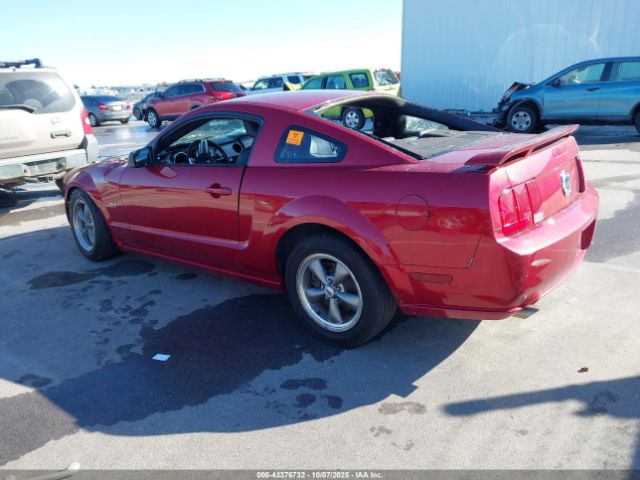 2005 FORD MUSTANG 1ZVFT82H455251551 Photo 2