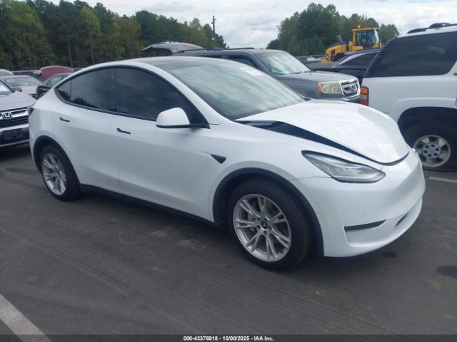 2021 TESLA MODEL Y 5YJYGDEE9MF086071 Photo 0