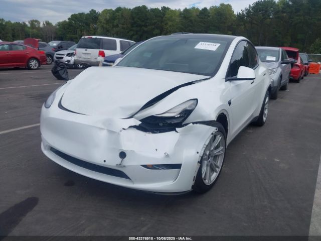 2021 TESLA MODEL Y 5YJYGDEE9MF086071 Photo 1