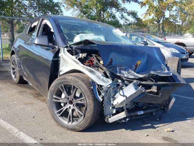 2025 TESLA MODEL Y 7SAYGDED8SF266679