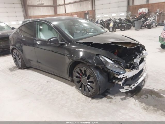 2023 TESLA MODEL Y 7SAYGDEF3PF772445