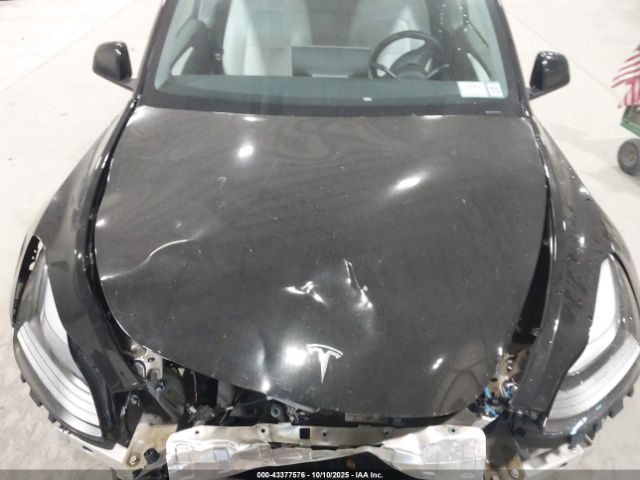 2023 TESLA MODEL Y 7SAYGDEF3PF772445 Photo 9