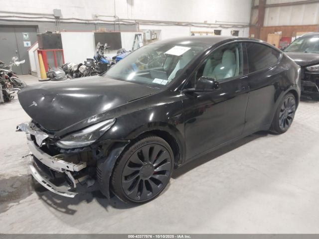 2023 TESLA MODEL Y 7SAYGDEF3PF772445 Photo 1