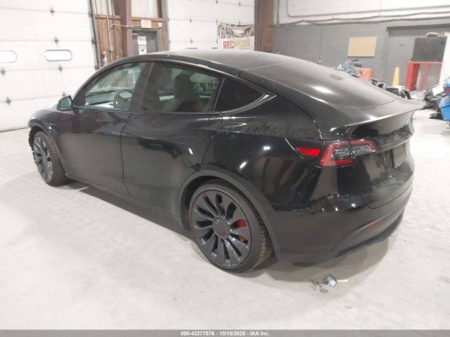 2023 TESLA MODEL Y 7SAYGDEF3PF772445 Photo 2