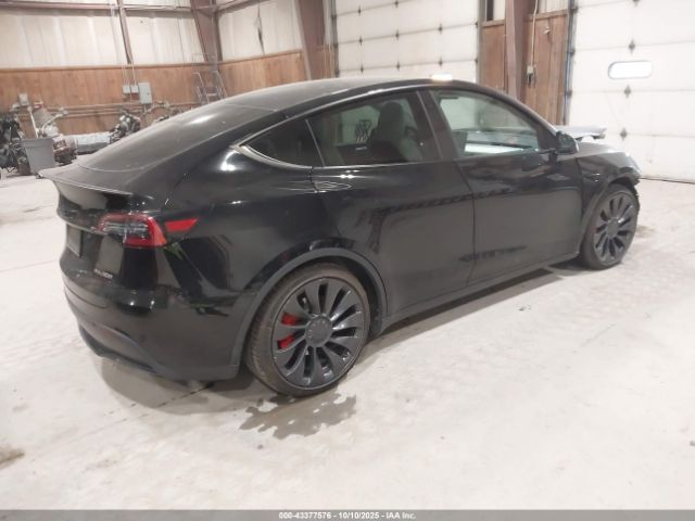 2023 TESLA MODEL Y 7SAYGDEF3PF772445 Photo 3