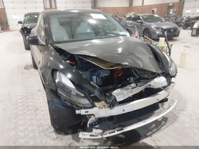 2023 TESLA MODEL Y 7SAYGDEF3PF772445 Photo 5