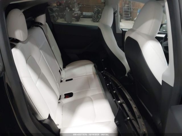 2023 TESLA MODEL Y 7SAYGDEF3PF772445 Photo 7