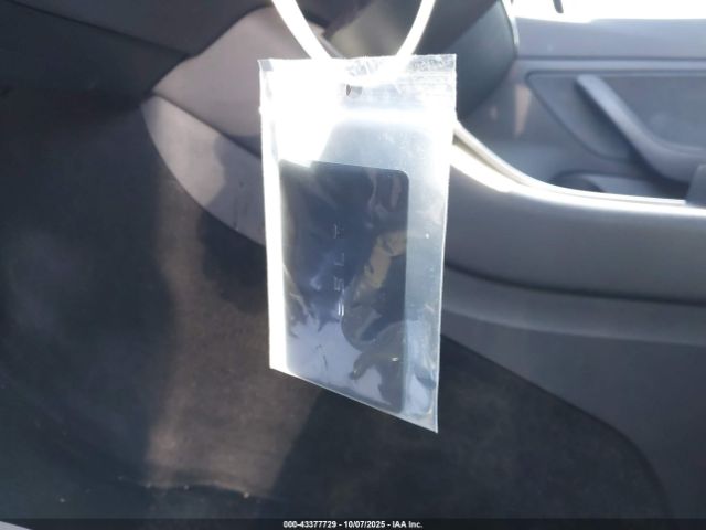 2019 TESLA MODEL 3 5YJ3E1EB0KF453165 Photo 10