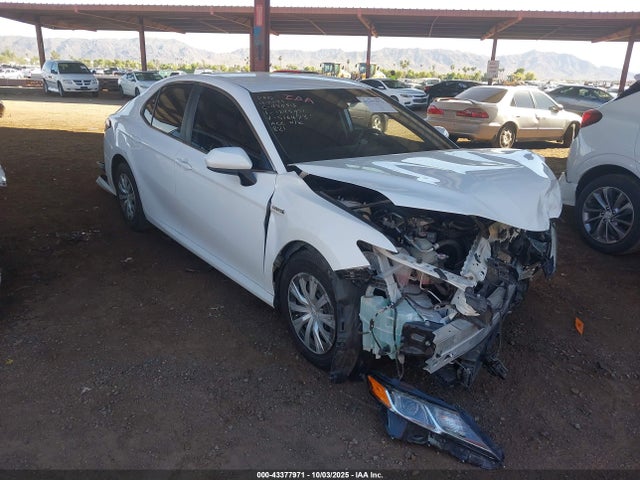 2019 TOYOTA CAMRY HYBRID 4T1B31HK9KU516473