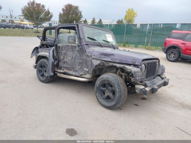 2003 JEEP WRANGLER 1J4FA39SX3P306979