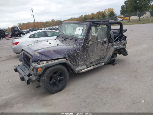 2003 JEEP WRANGLER 1J4FA39SX3P306979 Photo 1