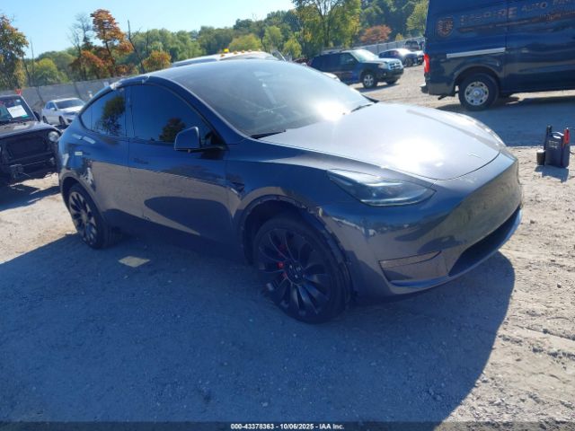2023 TESLA MODEL Y 7SAYGDEF0PF904867