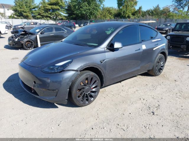 2023 TESLA MODEL Y 7SAYGDEF0PF904867 Photo 1