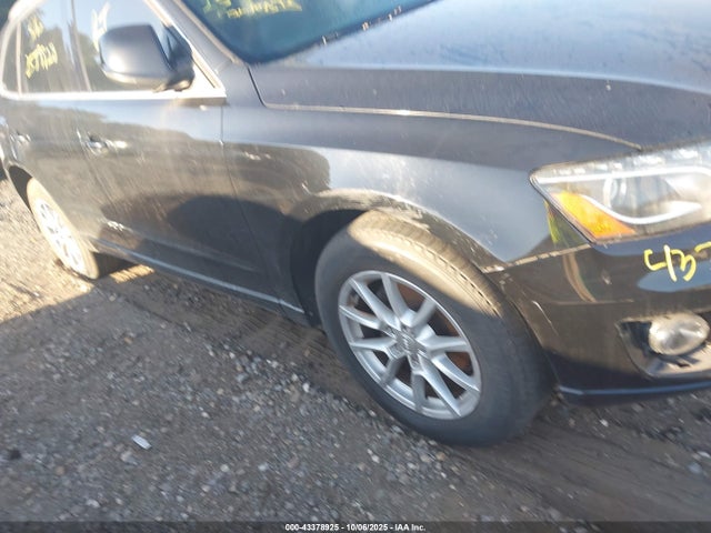 2010 AUDI Q5 WA1LKAFP0AA056141 Photo 5