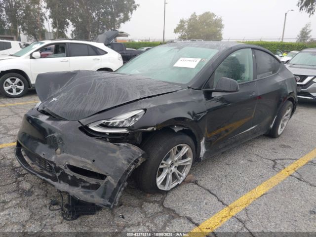 2021 TESLA MODEL Y 5YJYGDEE2MF275046 Photo 1