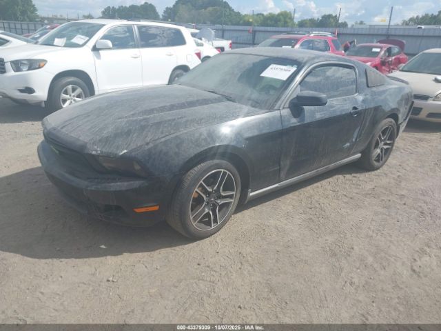2010 FORD MUSTANG 1ZVBP8AN1A5166719 Photo 1