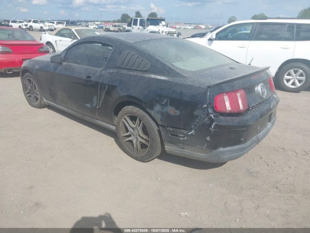 2010 FORD MUSTANG 1ZVBP8AN1A5166719 Photo 2
