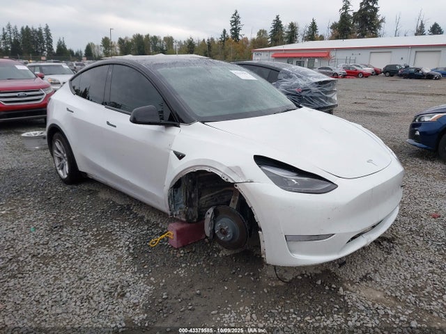 2023 TESLA MODEL Y 7SAYGDEE5PF646577 Photo 0