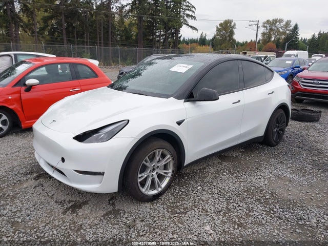 2023 TESLA MODEL Y 7SAYGDEE5PF646577 Photo 1