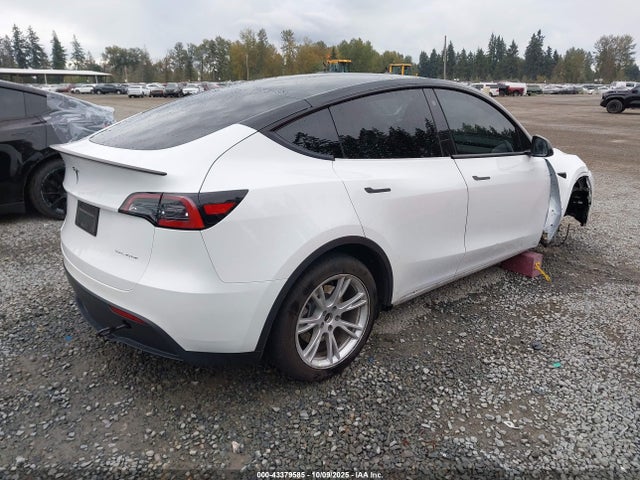 2023 TESLA MODEL Y 7SAYGDEE5PF646577 Photo 3