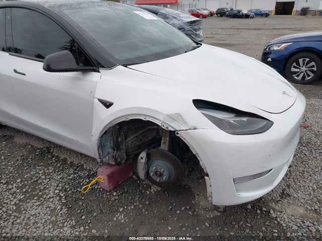 2023 TESLA MODEL Y 7SAYGDEE5PF646577 Photo 5