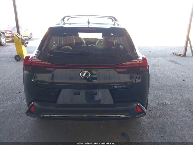 JTHE9JBH0N2056874 Lexus Ux 250h F Sport