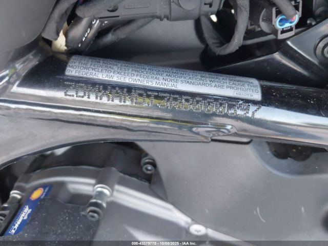 2024 DUCATI DESERT X ZDMXANDT3RB000397 Photo 9