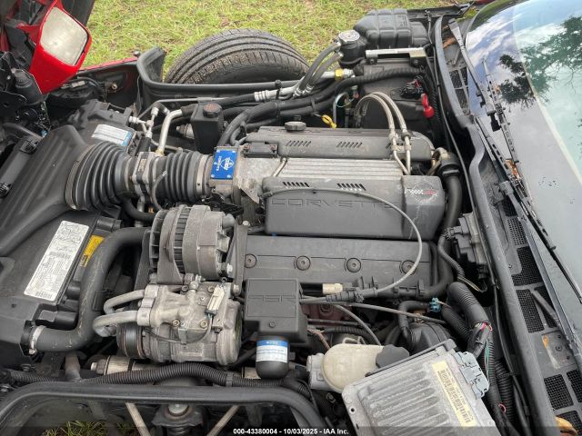 1996 CHEVROLET CORVETTE 1G1YY32P3T5113349 Photo 9