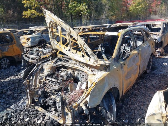 2025 KIA SORENTO 5XYRKDJF4SG335142 Photo 1