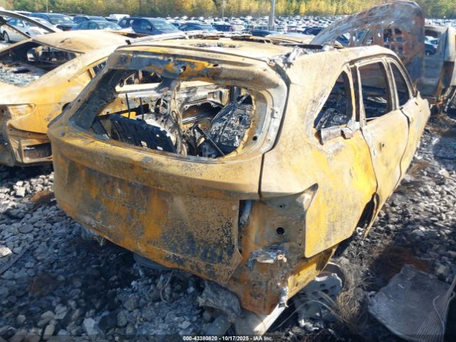 2025 KIA SORENTO 5XYRKDJF4SG335142 Photo 3