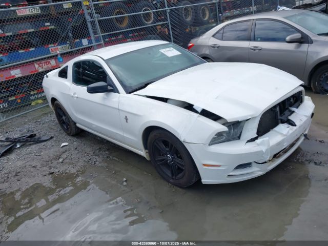 2013 FORD MUSTANG 1ZVBP8AM2D5267215