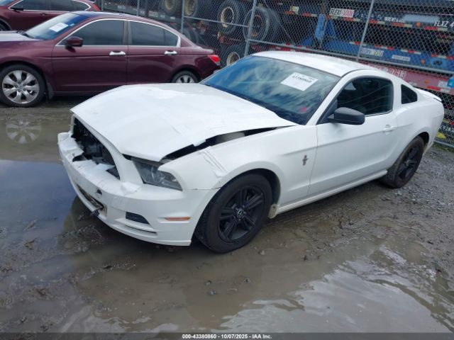 2013 FORD MUSTANG 1ZVBP8AM2D5267215 Photo 1