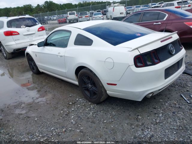 2013 FORD MUSTANG 1ZVBP8AM2D5267215 Photo 2