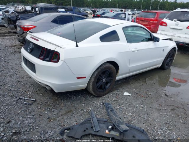 2013 FORD MUSTANG 1ZVBP8AM2D5267215 Photo 3