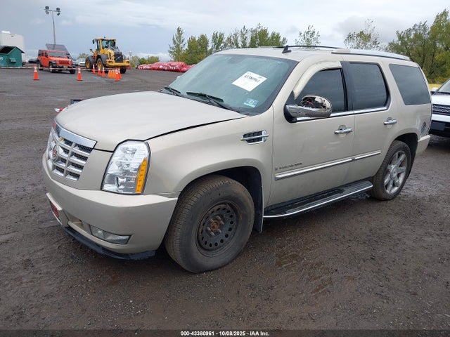 2009 CADILLAC ESCALADE 1GYFK23249R114664 Photo 1