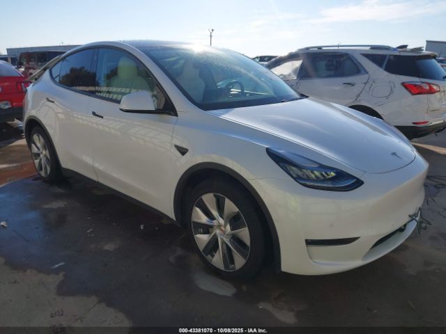 2021 TESLA MODEL Y 5YJYGDEE0MF076108 Photo 0
