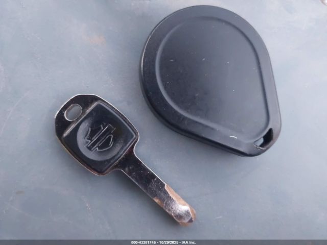 2021 HARLEY-DAVIDSON FLSL 1HD1YDJ17MB019326 Photo 10