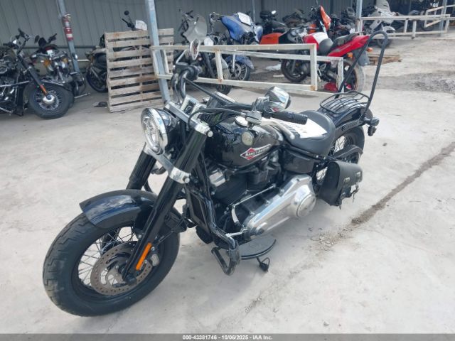 2021 HARLEY-DAVIDSON FLSL 1HD1YDJ17MB019326 Photo 1