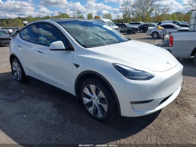 2023 TESLA MODEL Y 7SAYGDEE3PF785512 Photo 0