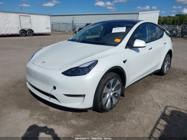 2023 TESLA MODEL Y 7SAYGDEE3PF785512 Photo 1
