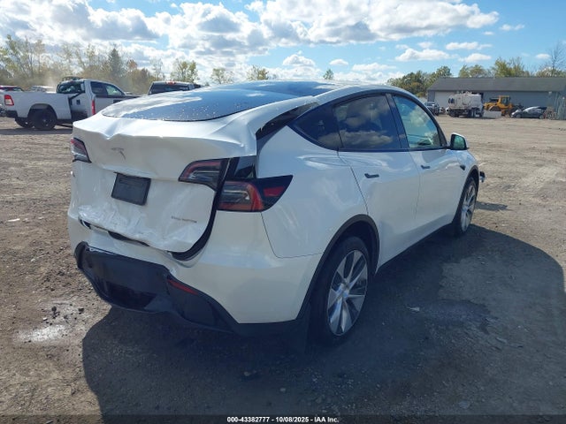 2023 TESLA MODEL Y 7SAYGDEE3PF785512 Photo 3