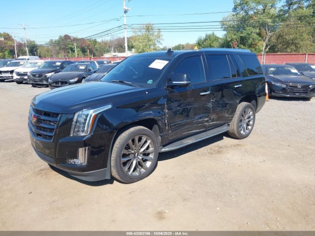 2020 CADILLAC ESCALADE 1GYS4BKJ6LR269855 Photo 1