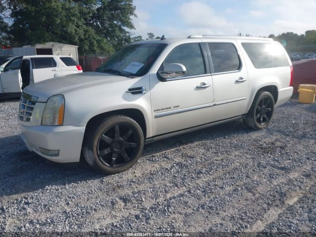 2010 CADILLAC ESCALADE ESV 1GYUKJEFXAR188256 Photo 1