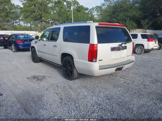 2010 CADILLAC ESCALADE ESV 1GYUKJEFXAR188256 Photo 2