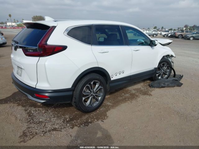 2020 HONDA CR-V 5J6RW1H58LA013485 Photo 3
