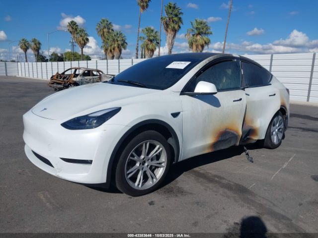 2023 TESLA MODEL Y 7SAYGDEE5PF878788 Photo 1