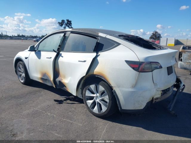 2023 TESLA MODEL Y 7SAYGDEE5PF878788 Photo 2