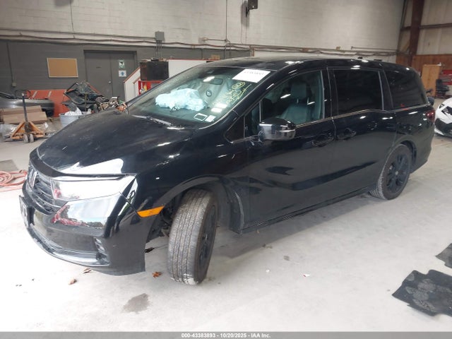 Продаж на аукціоні авто 2024 Honda Odyssey Sport, vin: 5FNRL6H72RB072223, номер лоту: 43383893