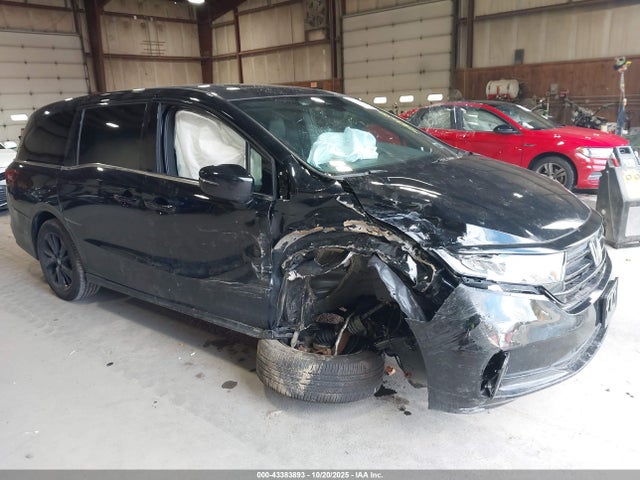 Продаж на аукціоні авто 2024 Honda Odyssey Sport, vin: 5FNRL6H72RB072223, номер лоту: 43383893