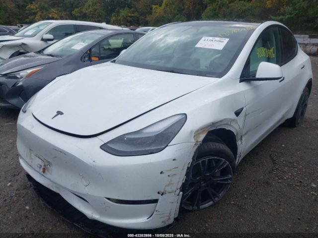 2025 TESLA MODEL Y 7SAYGDEE8SA342844 Photo 1